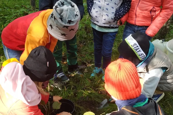 spannender Tag im Wald